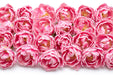 Tulip Collective - Double Foxtrot 37Cm 35Gr - Pink - 150 Stems