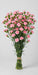 Mini Carnation Pink Roxanne - 15 Bunches