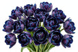 Tulip Collective - Dyed Double Moscow Midnight 37Cm 35Gr - Blue-Purple - 150 Stems