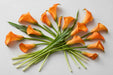 Next Day Delivery - Calla Lily Mini Orange 50CM 100ST/BX