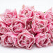 Tulip Collective - Frilled Queensland 36Cm 38Gram - Pink - 150 Stems