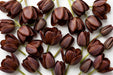 Tulip Collective - Dyed Brownies 37Cm 35Gr - Brown - 150 Stems