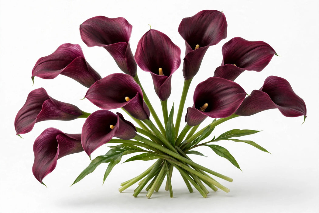 Next Day Delivery - Calla Lily Mini Burgundy 40CM 80ST/BX