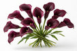 Next Day Delivery - Calla Lily Mini Burgundy 40CM 80ST/BX