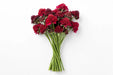 Next Day Delivery - SCABIOSA FOCAL RASPBERRY 50cm 10st - Red - 120 Stems [LIMITED]