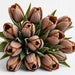 Tulip Collective - Dyed Frost Brown 37Cm 35Gr - Brown - 150 Stems