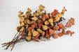 Next Day Delivery - Dried Prsvd. Stuartiana Fall Mix 30BU/BX