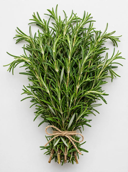 Rosemary 10BU/BX