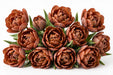 Tulip Collective - Dyed Double Terracotta 37Cm 35Gr - Brown - 150 Stems