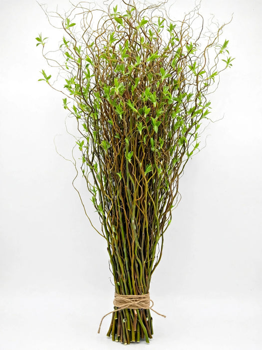 Curly Willow Med - 10 Bunches/Bag
