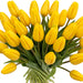 Tulip Collective - Novi Sun 40Cm 50Gr - Yellow - 150 Stems