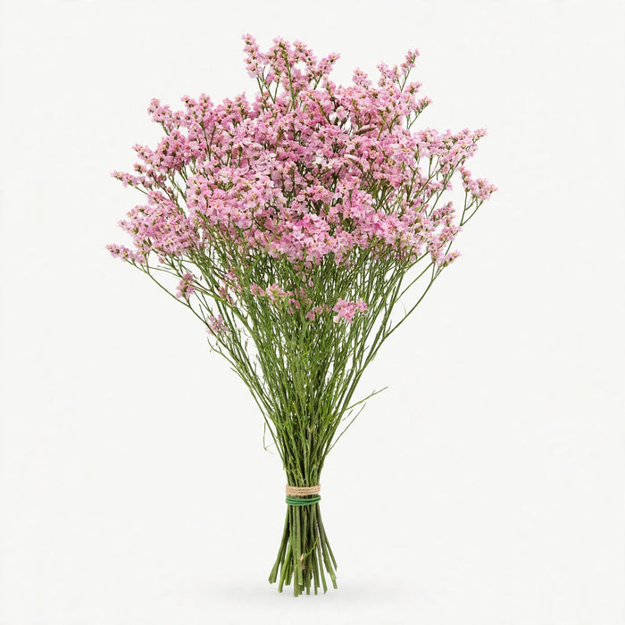 Limonium Silver Pink 70cm - 12 Bunches/Box