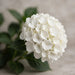 Hydrangea Royal Princess 80CM 18CM - White - 20 Stems