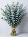 Baby Blue Euc. 16BU/BX