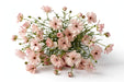 Next Day Delivery - RANUNCULUS BUTTERFLY HERA 60cm 10st - Blush - 120 Stems [LIMITED]