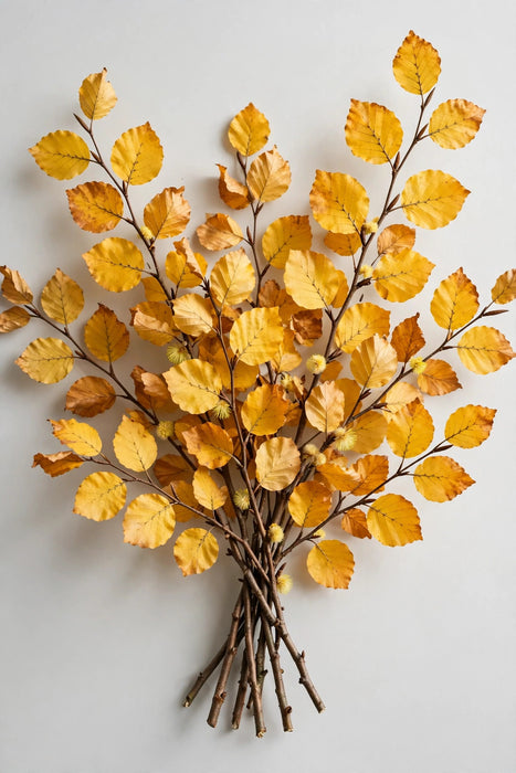 Next Day Delivery - Copper Beech Yellow 15BU/BX