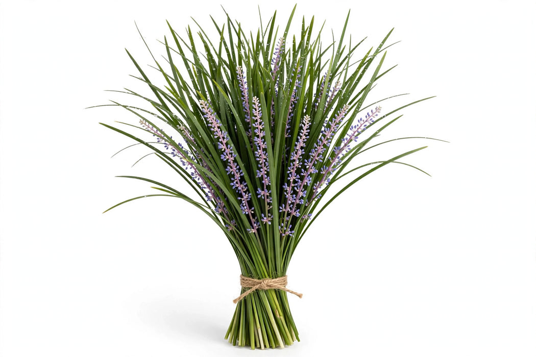 Lily Grass Assorted - 50 Bunches/Box