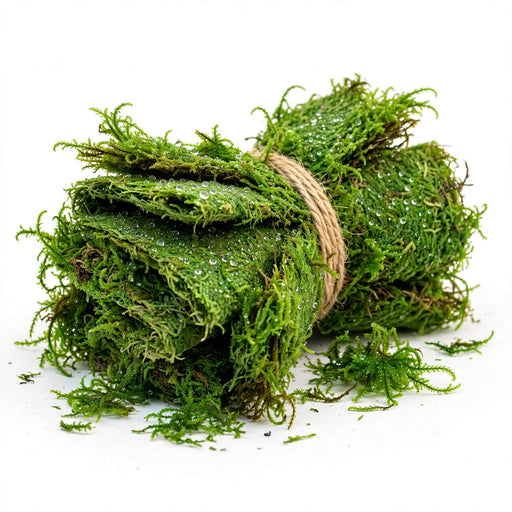 Moss Sheet