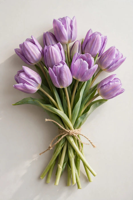 Tulip Collective - Dyed Pastel Violet 37cm 35gr (50 STEMS / BX)