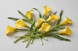 Next Day Delivery - Calla Lily Mini Yellow 50CM 80ST/BX