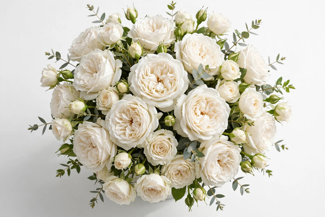 Next Day Delivery - ROSE PRINCESS MIYUKI 45cm 6cm 12st - White - 48 Stems [LIMITED]