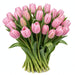 Tulip Collective - Tresor 40Cm 40Gram - Pink - 150 Stems