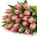 Tulip Collective - Sissi 40Cm 40Gr - Pink - 150 Stems