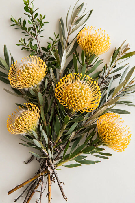 Next Day Delivery - Pincushions High Gold 50CM 50ST/BX