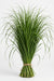 Steel Grass (100-120cm) - 30 Bunches/Box