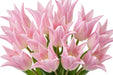 Tulip Collective - Lily Crown Of Dynasty 42Cm 36Gram - Light Pink - 150 Stems