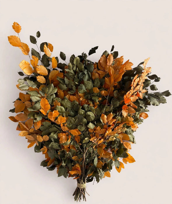 Copperbeech Orange & Black Mix - 20 Bunches / Box (Mix & Match)