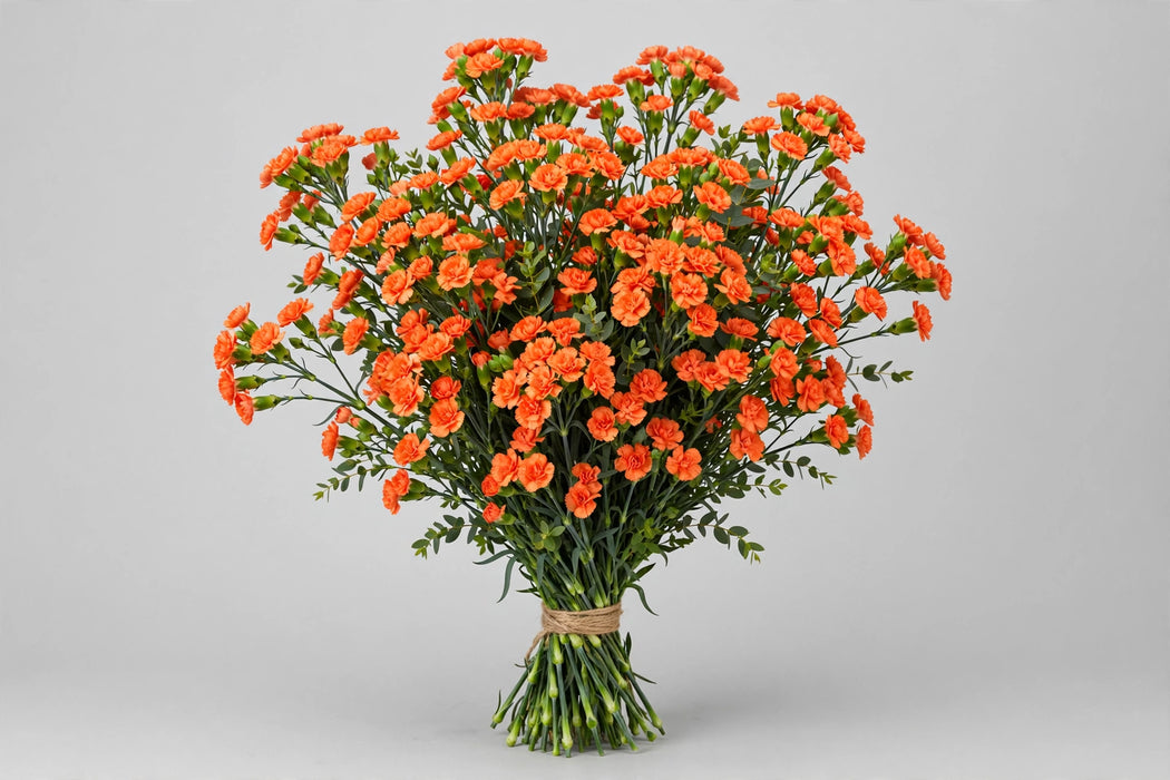 Mini Carnation Orange - 15 Bunches