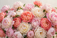 Next Day Delivery - PAEONIA ASSORTED FARM CHOICE 50cm 5st - Assorted - 100 Stems [Limited]