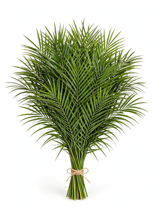 Robellini 60CM 20 Stems 25BU/BX