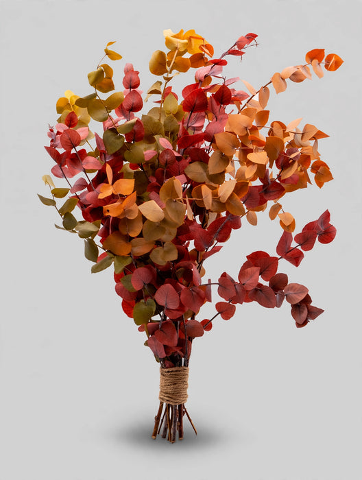 Euc Stuartiana Fall Mix - 20 Bunches / Box (Mix & Match)