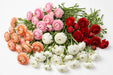 The Ranunculus Collection - Ranunculus Assorted 4 Colors 40-50CM (100 STEMS / BX)