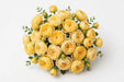Next Day Delivery - ROSE BRIGHTON 60cm 5,5cm 25st - Yellow - 100 Stems [LIMITED]