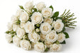 Next Day Delivery - ROSE PROUD 50cm 5cm 25st - White - 100 Stems [LIMITED]