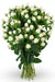 Next Day Delivery - HYPERICUM COCO UNO 70cm 10st - White - 60 Stems [LIMITED]