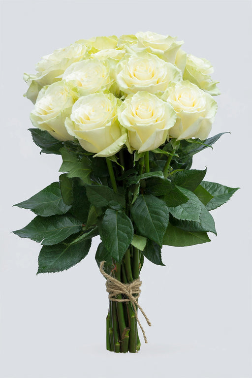 Roses Mondial 50CM 100ST/BX