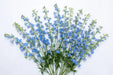 Next Day Delivery - DELPHINIUM BE SKY WALTZ 60cm 10st - Light Blue - 200 Stems [LIMITED]