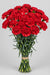 Carnation Red Gransole - 250 Stems