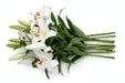 Next Day Delivery - LILY OR SIBERIA 3+ 70cm 10st - White - 60 Stems [LIMITED]