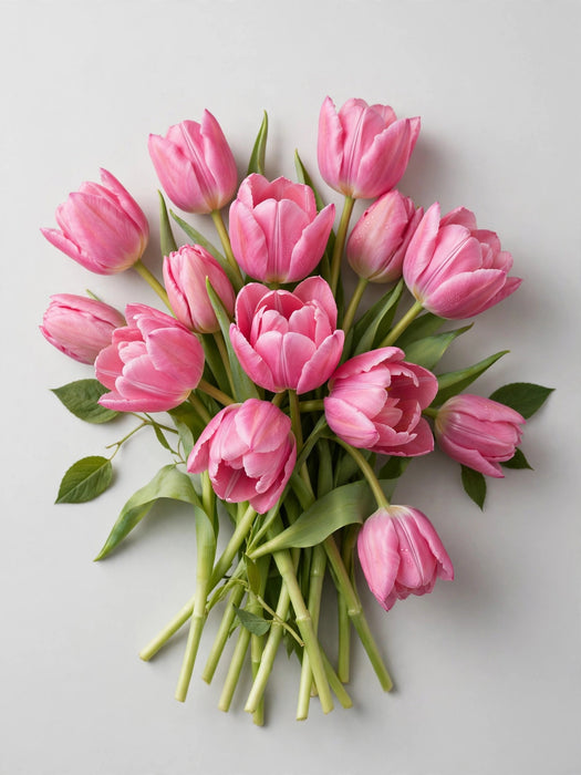 Tulip Collective - Dyed Flirty Pink 37cm 35gr (50 STEMS / BX)