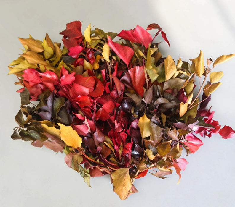 Fall Ivy Mix - 20 Bunches / Box (Mix & Match)