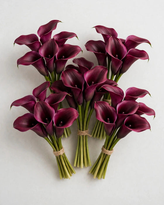 Calla Lily Mini Burgundy 45cm 80ST/BX