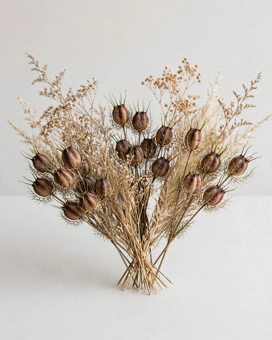 Dried Nigella Natural 20BU/BX