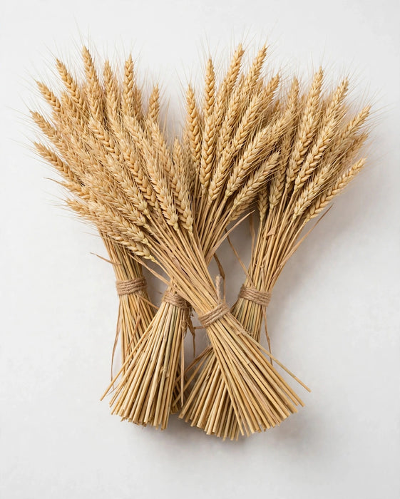 Dried Tarwe Natural 30BU/BX