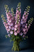 Next Day Delivery - Delphinium Hyb. Pink Lavender 12BU/BX