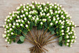 Next Day Delivery - Hypericum Coco Uno White 60CM 8BU/BX